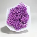 Purple baby's breath dried flower bouquet in elegant white wrapping paper for gifts. - 400+-50g/Bundle (60-70cm) / Purple