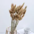 Natural dried bunny tail grass bouquet for home decoration, elegant floral arrangement. - One Bundle / Natural Color