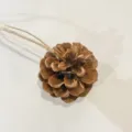 Natural pinecone hanging ornament with hemp rope, rustic style for holiday decor. - Style 15