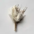 Mini dried flower boutonniere white natural preserved floral wedding corsage decoration accessory - Style 11