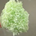 Preserved hydrangea single stem dried flower bouquet light green 20cm floral arrangement decor - Single Stem Anna Hydrangea / Light Green
