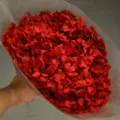 Red preserved hydrangea flower bouquet, single branch dry floral decoration for handmade craft. - Single Stem Anna Hydrangea / Bright Red