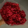 Red preserved hydrangea bouquet variant single stem artificial flower floral arrangement decor - Single Stem Anna Hydrangea / Dark Red