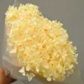 Preserved single stem Anna hydrangea dry flower bouquet 20cm handmade decorative floral - Single Stem Anna Hydrangea / Light Champagne