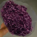 Preserved hydrangea single stem dried flower bouquet handmade decorative floral arrangement - Single Stem Anna Hydrangea / Grape Purple