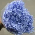 Blue preserved hydrangea bouquet 20cm single stem dried flower floral material arrangement - Single Stem Anna Hydrangea / Light Purple