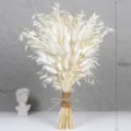 Natural dried flower bouquet white bunny tails grass pampas grass home decor 45cm tall - Mixed Bouquet 002