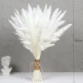 White pampas grass dried flowers bouquet fluffy natural bunny tails floral home decor 45cm - Mixed Bouquet 001