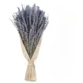 Natural dried lavender bouquet with vintage newspaper wrapping for home decor and aromatherapy use. - 100 Pieces/Pack