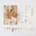 Natural dried flowers and preserved botanical specimens for DIY crafts, resin art and candles. - A5-04