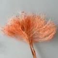 Rami di fiori secchi rosa pesca rametti decorativi per composizione floreale casa - Rosa Pesca