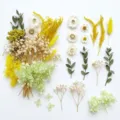 Set di fiori secchi assortiti piante conservate per artigianato fai-da-te candele decorazione regalo. - A5-05