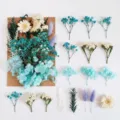 Fiori secchi assortiti blu e bianchi piante stabilizzate fai da te candela forniture - A5-06