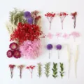 Fiori secchi preservati per candele fai da te e regali, variante di composizione florale botanica. - A5-07