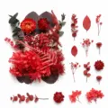 Set di fiori secchi rossi e fiori stabilizzati per fai da te candele e bellissima decorazione. - A5-08