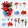 Fiori secchi e stabilizzati assortiti materiali naturali DIY per candele e regali. - A5-10