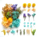 Fiori secchi fiori conservati DIY accessori per candele fatti a mano regali di decorazione romantica - A5-11