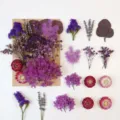 Set di materiali DIY di fiori secchi viola naturali per candele artigianali e decorazioni. - A5-12
