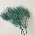 Fiori secchi verdi naturali preservati per decorazioni domestiche e composizioni floreali. - Blu Pavone Vintage