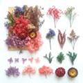 Kit fiori secchi conservati materiale fai da te per candele artigianali decorazione regalo piante - A5-14