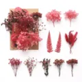 Set di fiori secchi e preservati rosa per candele fai da te, artigianato e regali romantici. - A5-15
