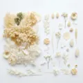 Set di fiori e foglie secche bianche, materiale per bricolage DIY botanico per candele e resina. - A5-16