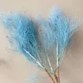 Rami di fiori secchi preservati blu per decorazione domestica e regalo floreale. - Celeste