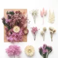 Set di fiori secchi per artigianato fai da te, bouquet floreale rosa e bianco e materiali. - A5-18