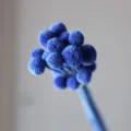 Blue craspedia billy balls dried flowers bouquet natural flower stems floral arrangement decor - 20 Pcs/Pack / Sapphire Blue
