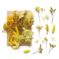Set di fiori secchi gialli, materiale fai da te di fiori stabilizzati naturali per candele. - A5-19
