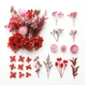 Assortimento Fiori Secchi Rosa Rosso Preserved DIY Candela Regalo Decorazione Materiale - A5-20
