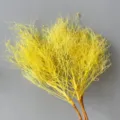 Rami di fiori secchi e conservati gialli per decorazione floreale domestica e riempitivo - Oro Giallo