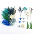 Set di fiori secchi DIY blu e bianchi fiori preservati per lavori artigianali - A5-21