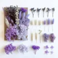 Fiori secchi e stabilizzati set materiali fai da te per candele decorazione regali. - A5-22