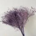 Rami di fiori secchi viola botanici naturali perfetti per decorazione floreale della casa. - Viola Vintage