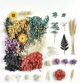 Fiori secchi e fiori stabilizzati kit DIY per la produzione di candele e decorazioni. - A5-27