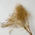 Rami di fiori secchi naturali per decorazioni domestiche, bella composizione floreale dorata. - Giallo Vintage