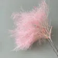 Ramo di fiori secchi di scotano rosa per decorazioni domestiche e composizioni floreali. - Rosa Vivo Chiaro