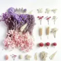 Fiori Secchi Assortimento di Fiori Preservati per Candele Fai da Te e Decorazione Regalo - A5-29