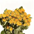 Natural dried yellow rose bouquet, preserved real flowers for home decor and DIY crafting. - Multi-Head Yellow Rose (30-35 Stems)
