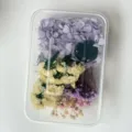 DIY preserved flower material set for handmade crafts, natural dried flowers for decoration - Style 2 (Box)