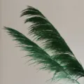 Green dried pampas grass branches for elegant home decor, floral arrangements and vase styling. - Green Reed Stems