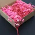 Pink dried gypsophila baby's breath flowers bouquet for wedding party DIY home decor gift box - Pink 50-Piece Set