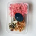 Preserved flowers DIY material pack, natural dried flowers for holiday gift decoration. - Style 4 (Box)