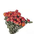 Natural dried rose bouquet red yellow preserved flower for home decor DIY floral variant - Multi-Head Alice Rose (30-35 Stems)
