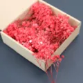 Mini dried baby's breath flowers red gypsophila in a craft box for wedding party decor - Red 50 Pieces