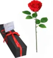 Preserved red rose single flower gift box with ribbon and greeting card for romantic occasion. - Red Rose with Box