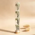 Glas-Reagenzglas Trockenblumen konservierte Mini-Wunschflasche Deko in weißer Variante. - Weiße Reisblume