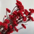 Red preserved flower branch detail shot, natural texture, perfect for home decor and floral design. - 70-80g / Red