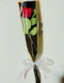 Single artificial rose bouquet detail, black and gold wrapping paper with white ribbon. - Red